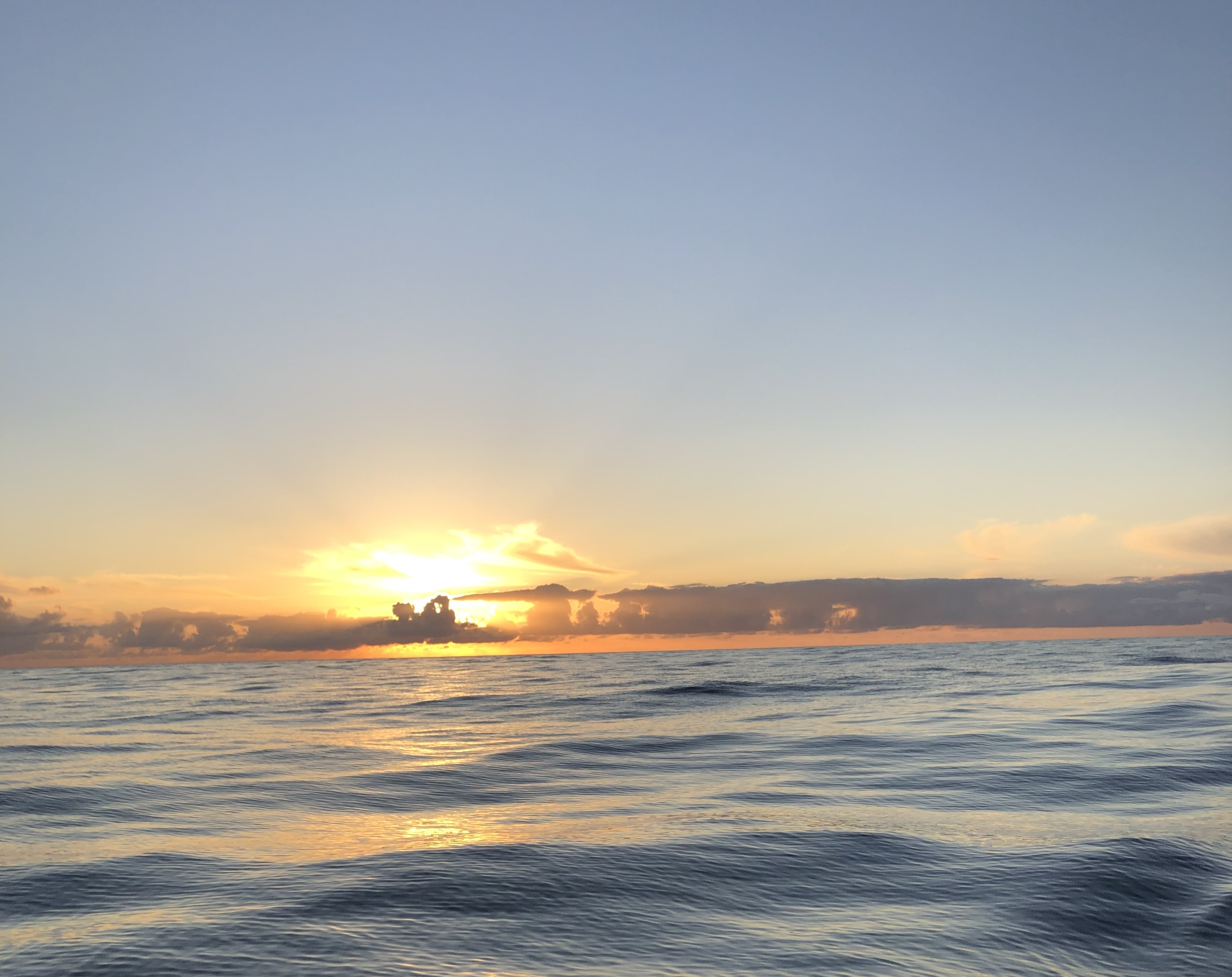 Enriquecimiento: ampliando horizontes
